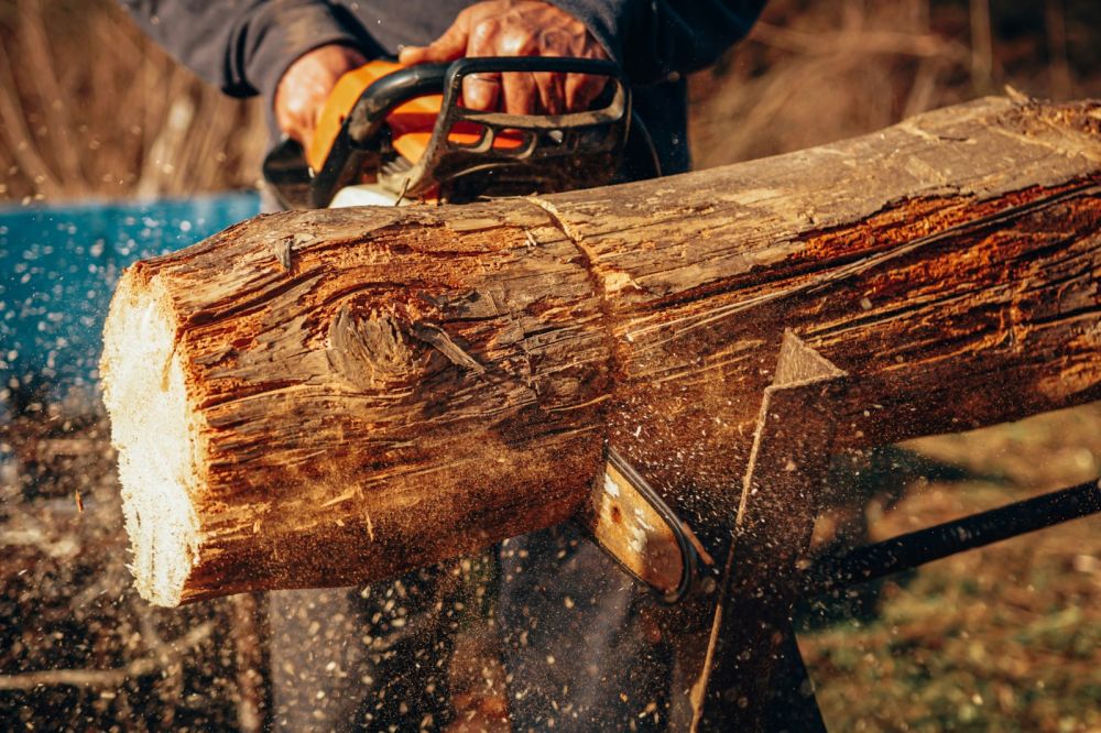 Chainsaw
